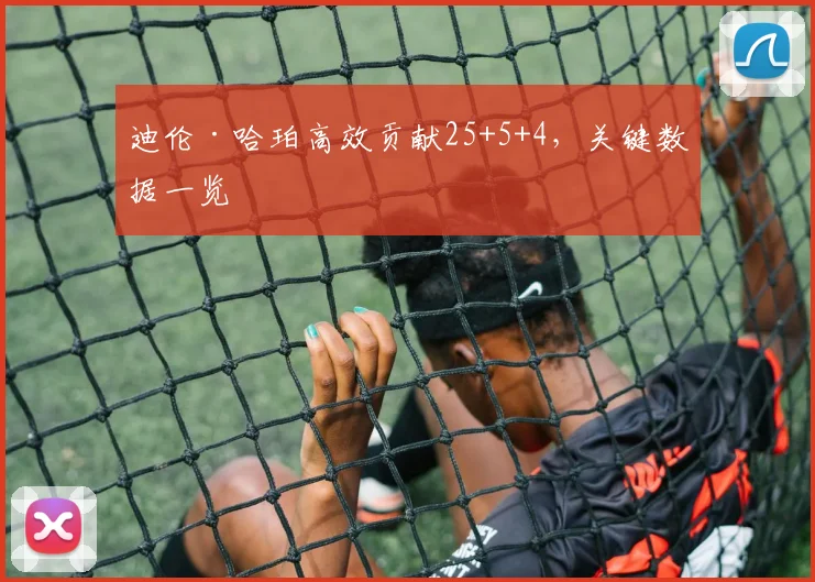 迪伦·哈珀高效贡献25+5+4,关键数据一览