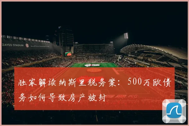 独家解读纳斯里税务案:500万欧债务如何导致房产被封